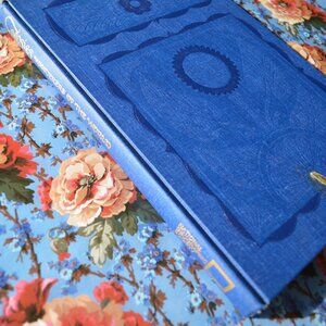 Gypsies Wanderers of the World National Geographic Society